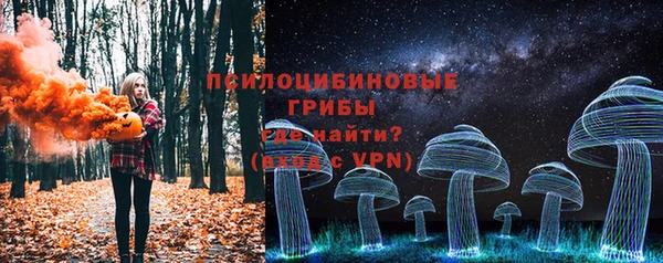 гашик Покачи